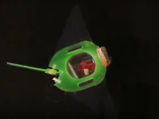 Китайцы разработали рыбу-робота без моторов (видео)