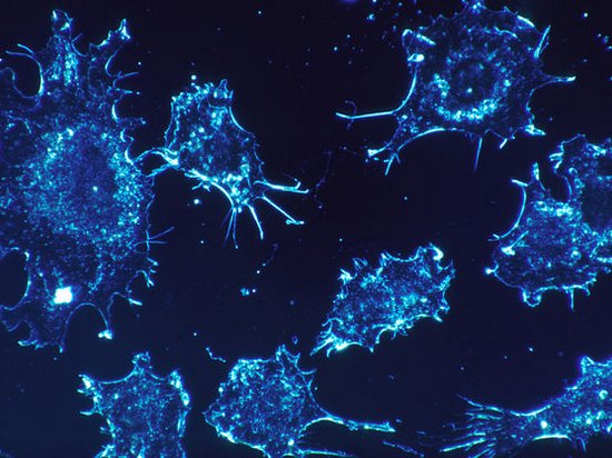 В Бостоне провели успешные клинические испытания вакцины от рака