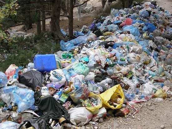 КМУ нашел решение проблемы утилизации львовского мусора