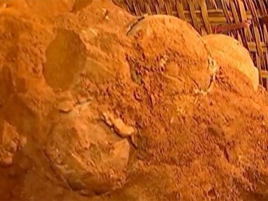 В Китае строители нашли окаменевшие яйца динозавров (видео)