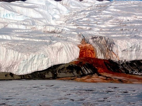 Ученые объяснили «кровавый водопад» в Антарктиде