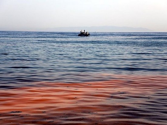 Мраморное море в Турции стало оранжевым: опубликованы фото