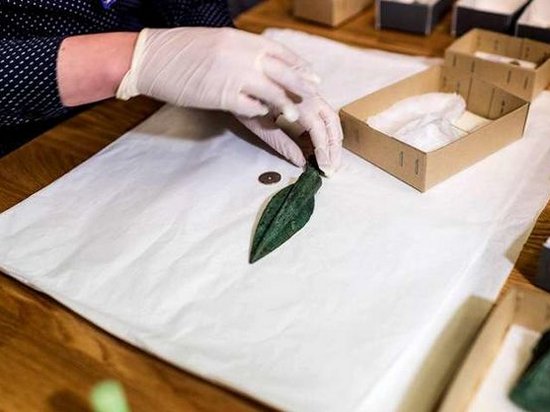 В Норвегии археологи обнаружили оружие возрастом 3 тысячи лет