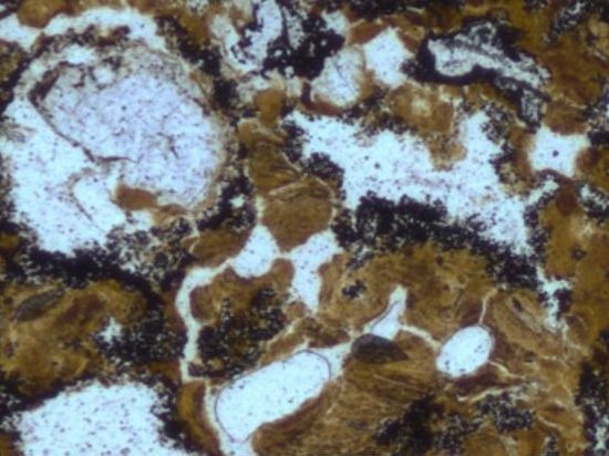 Обнаружены самые древние следы жизни на планете