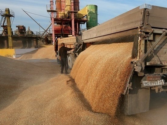 Экспорт аграрной продукции из Украины вырос почти на 40%
