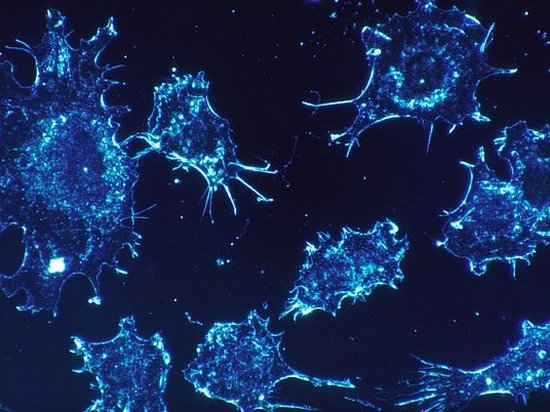 С помощью технологии CRISPR ученым удалось замедлить распространение рака
