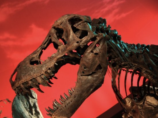 Палеонтологи признали, что не смогут воскресить динозавров