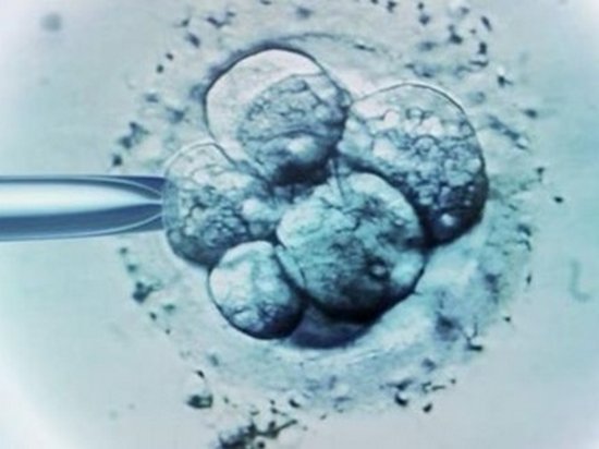 Голландского владельца банка спермы подозревают в отцовстве 60 детей