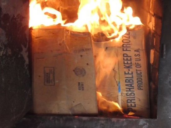 В РФ сожгли 200 кг икры, которая направлялась в Украину