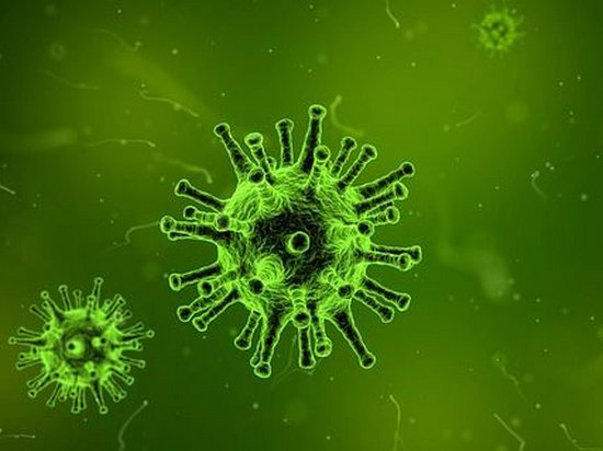 Исследователи предложили уничтожать супербактерии вирусами
