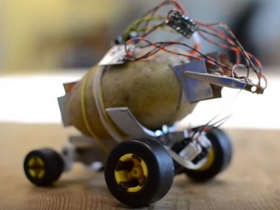 Инженер из Польша создал беспилотник из картошки: опубликовано видео