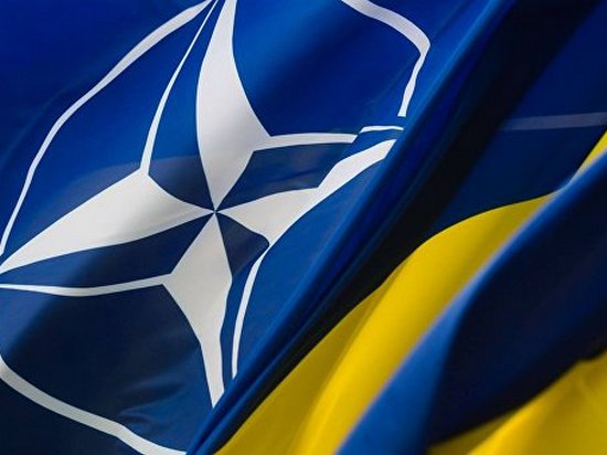 Украина должна отказаться от НАТО — эксперт