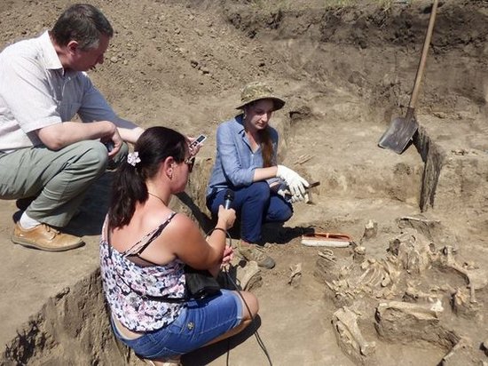 В Полтавской области археологи обнаружили скифское золото (видео)