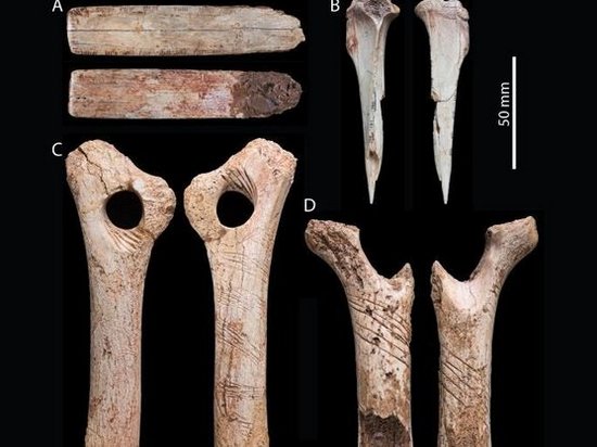 Ученые нашли новые доказательства каннибализма у древних людей