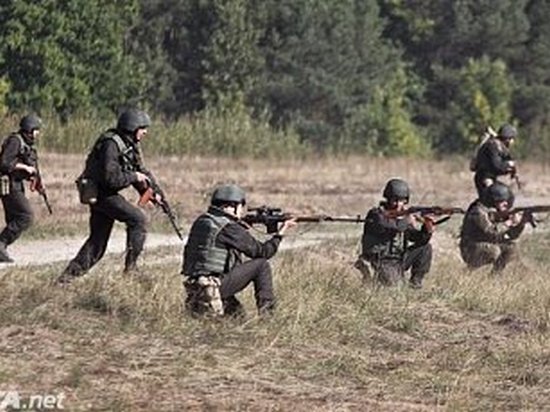 Украинские военные впервые примут участие в учениях Вышеградской четверки