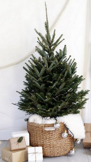 Датская ёлка