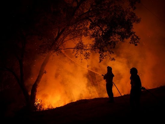 В Украине из-за пожаров погибли более 1200 человек
