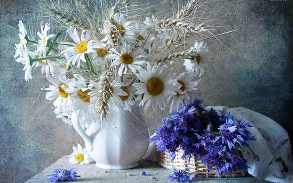 букет ромашек