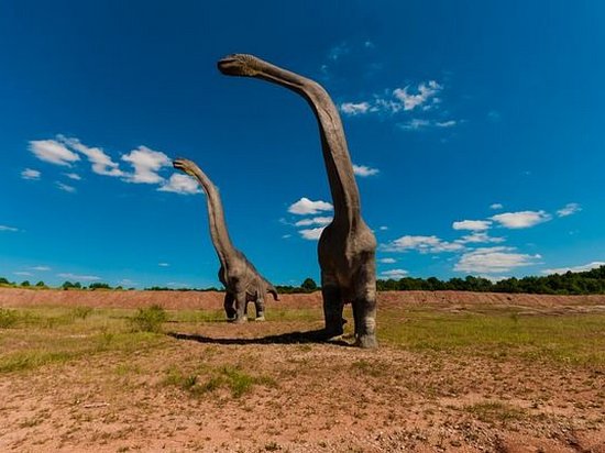 Астероид который погубил динозавров, изменил образ жизни млекопитающих