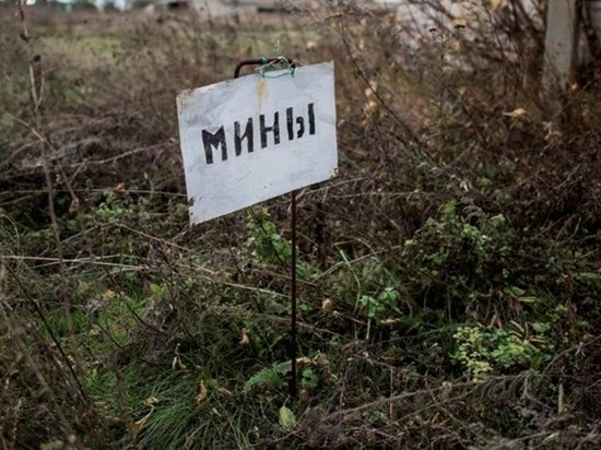 Разминирование Донбасса займет 15 лет — эксперты