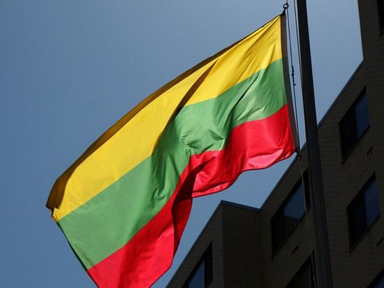 Литва намерена передать Украине оружия почти на 2 млн евро