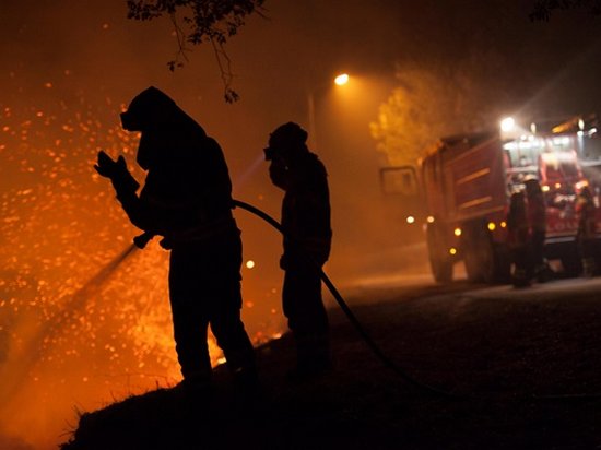 В Украине за последний год произошло 79 000 пожаров