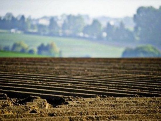 Правительство назвало цену на украинские сельхозземли при отмене запрета на продажу