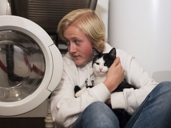 В Норвегии кот пережил 40 минут стирки в режиме для шерсти