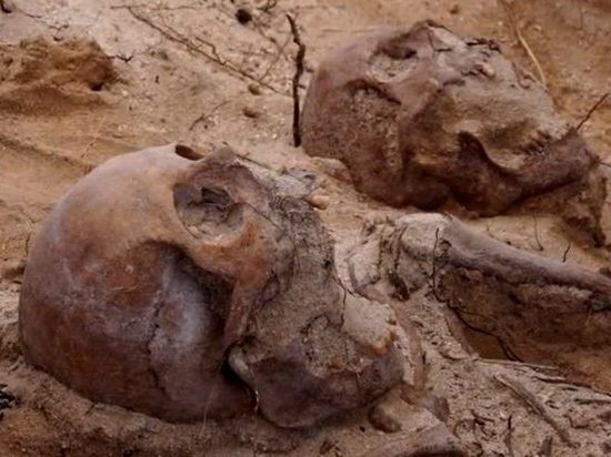 Возле Австралии обнаружили могилы жертв кораблекрушения 1629 года (видео)