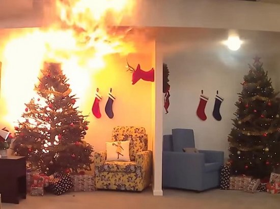 Как сухая елка может за минуту сжечь квартиру: опубликовано видео