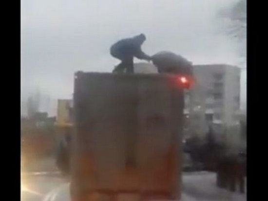 Очевидец снял под Киевом «схватку» мужчины со свиньей на крыше фуры (видео)