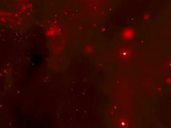 NASA показало панорамное видео из центра Млечного Пути