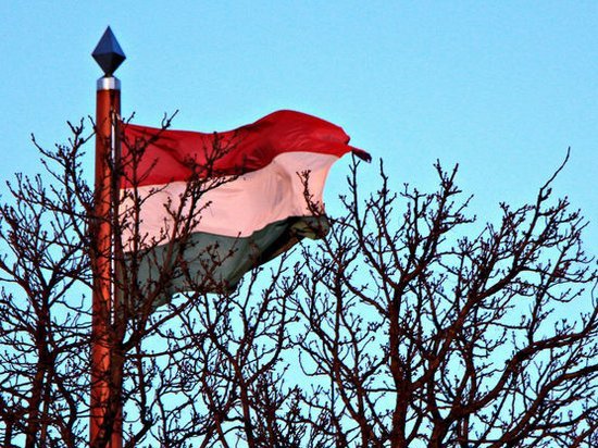 В МИД Венгрии отрицают наличие соглашений с Киевом по языковому вопросу