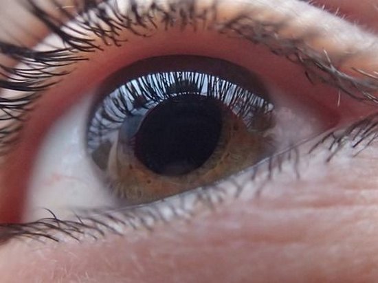 Новый алгоритм Google предсказывает болезни сердца по сетчатке глаза