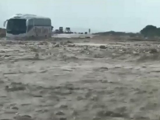 В Израиле спасли 50 туристов из Украины (видео)