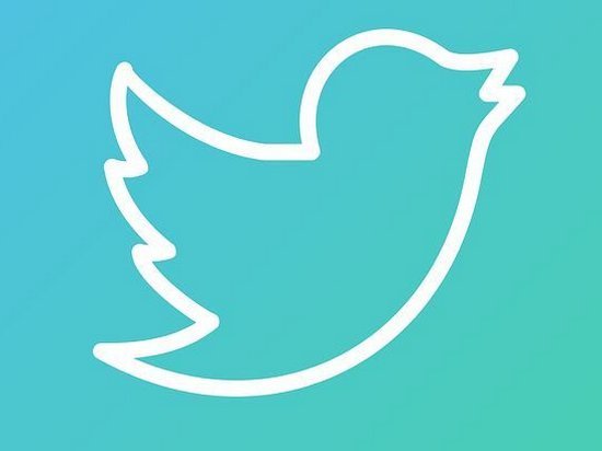 Twitter за 2 года заблокировал более 1 млн аккаунтов за пропаганду терроризма