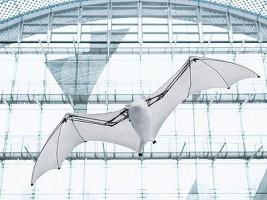 В Германии создали робота, который напоминает летучую лисицу