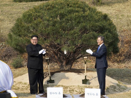 Лидеры двух Корей посадили сосну мира