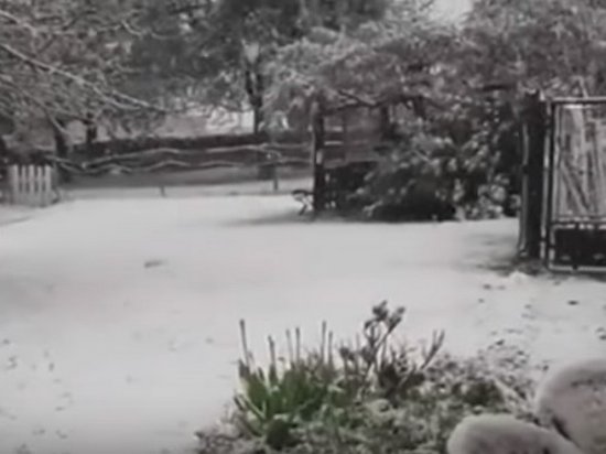 Во Франции 30 апреля выпал снег (видео)