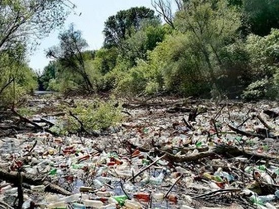 Украинский мусор перекрыл реку в Словакии — экологи