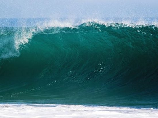 В Новой Зеландии зафиксировали рекордную волну