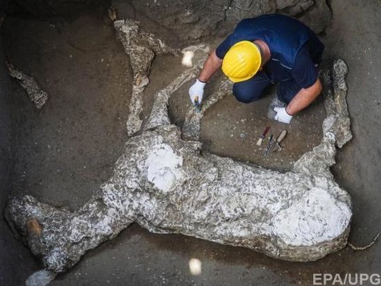 При раскопках в Помпеях впервые нашли лошадь, которая стала жертвой извержения Везувия