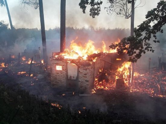 Спасатели предупреждают о чрезвычайном уровне пожарной опасности в Украине