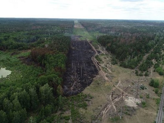 Пожар в Чернобыльской зоне ликвидирован