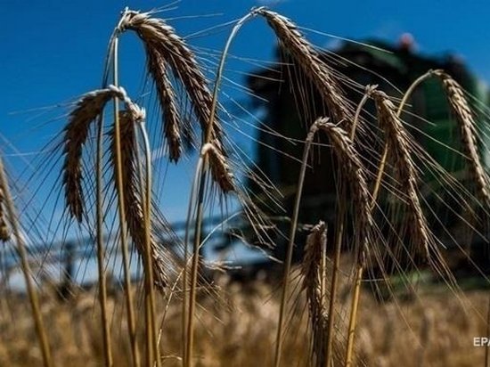 Украинские аграрии намолотили первый миллион тонн зерна