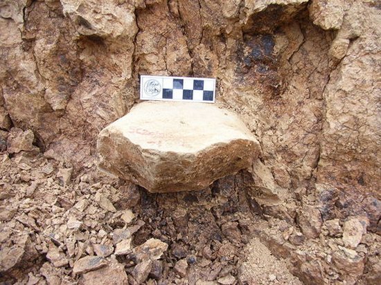Палеонтологи нашли рекордно древние орудия труда в Китае