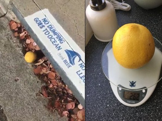 Американец снял лимон, который скатывался с горки. На второй минуте вы начнете за него переживать