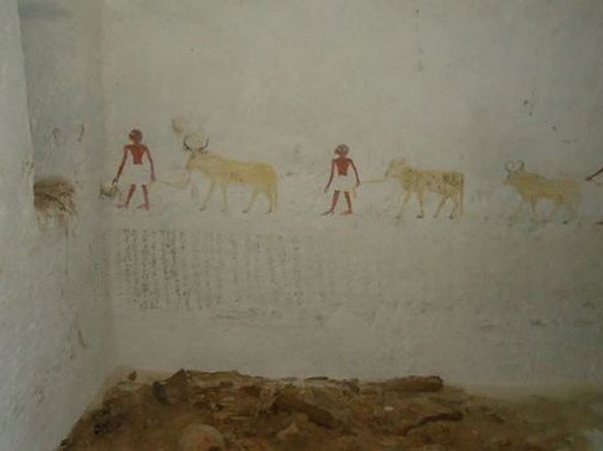 Археологи обнаружили в Египте гробницы с необычными фресками