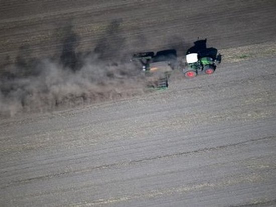 В Германии оценили ущерб фермеров от засухи
