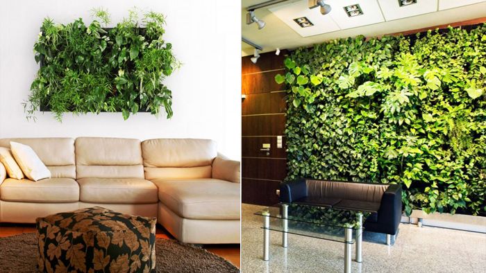 фитодизайн